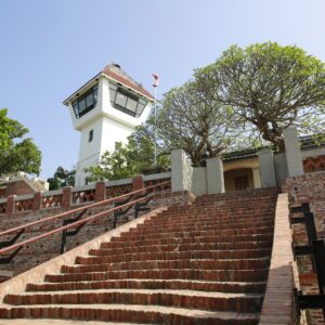 Elvakevin tainan